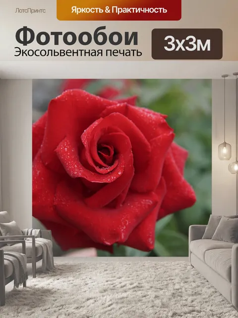 Фотообои Красная роза