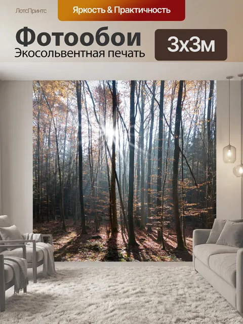 Фотообои Бук