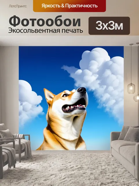 Фотообои сиба ину, смотрящий на небо, где тучи формируют забавные лица, улыбаясь, как будто вовлекает в игру
