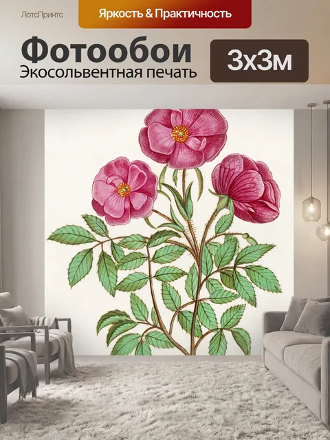 Фотообои Шиповник нарисовал искусство