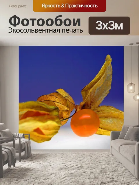 Фотообои Физалис