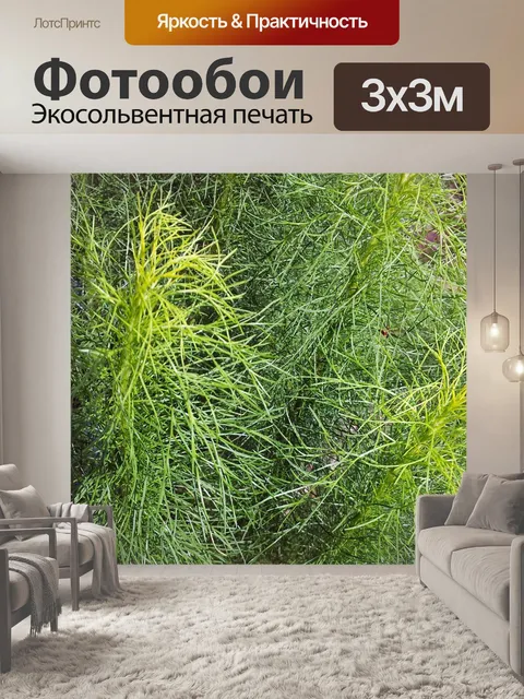 Фотообои зеленая трава южной фоне