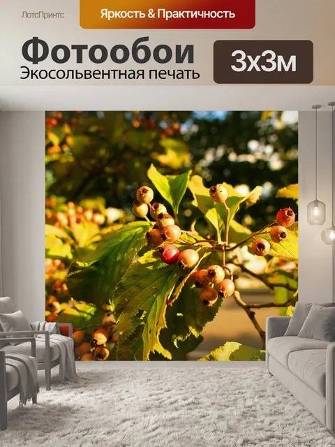 Фотообои Фрукты