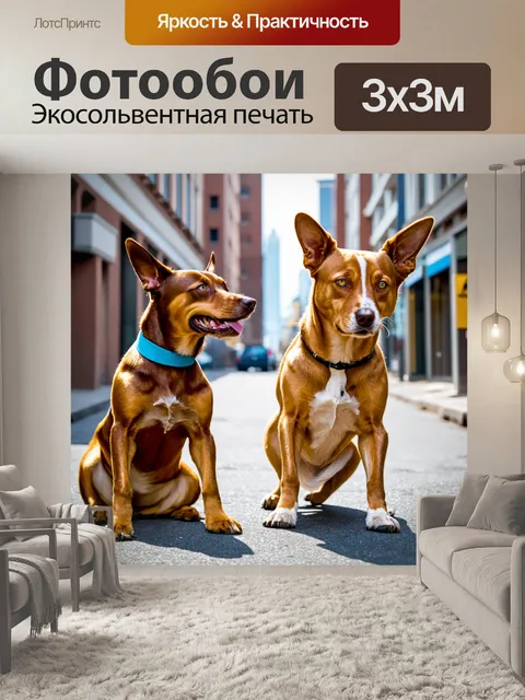 Фотообои собаки, учящиеся трюкам на фоне городских улиц