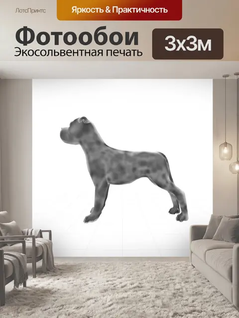 Фотообои Боксерская собака