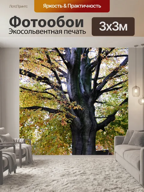 Фотообои Осенние листья