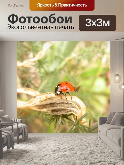Фотообои Божья коровка