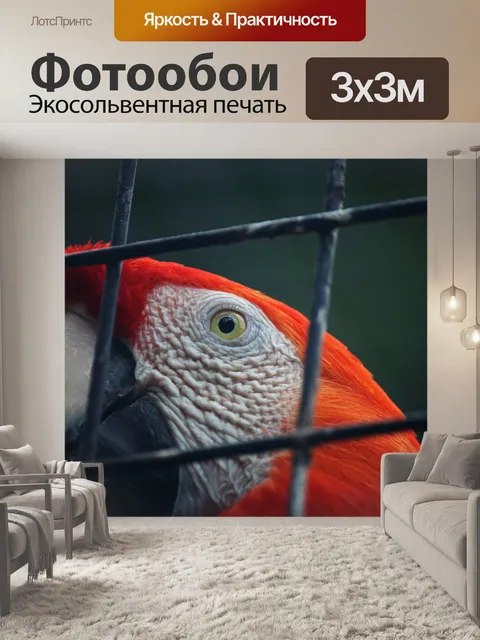 Фотообои красный и белый попугай
