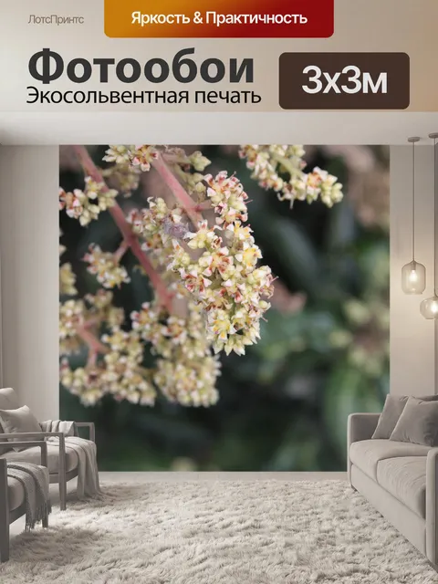 Фотообои Цветок