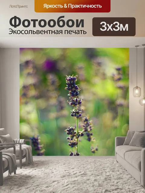 Фотообои Лаванда