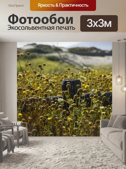 Фотообои полевой цветок