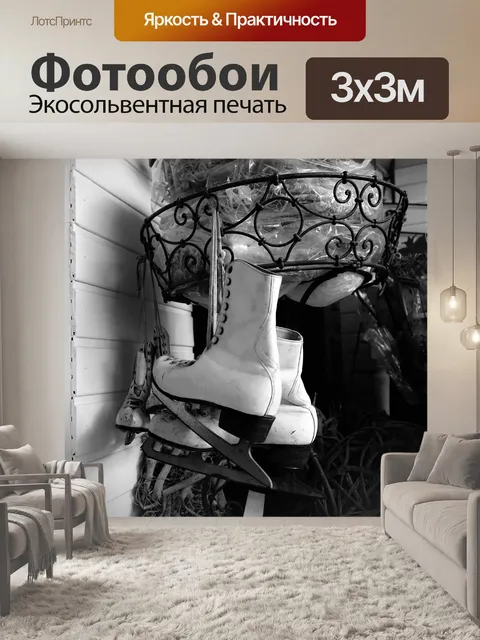 Фотообои Винтажные коньки