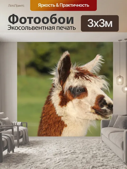Фотообои Альпака