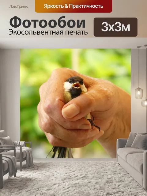 Фотообои Большая синица