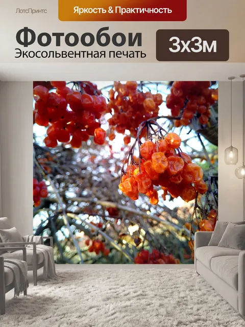 Фотообои Фрукты