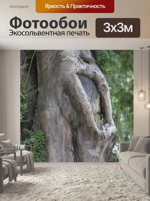 Фотообои Тисового дерева