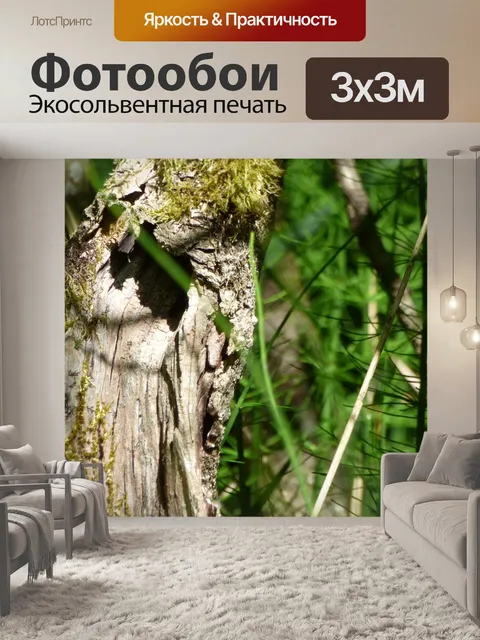Фотообои Ствол дерева природы