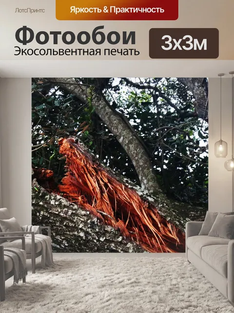Фотообои порванный ствол дерева