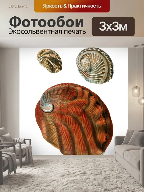 Фотообои Ракушка улитка винтажное искусство
