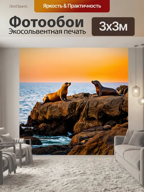 Фотообои охота: сцена в заливе, где морские котики отдыхают на скалах, а красивые оранжевые закаты открываются за ними