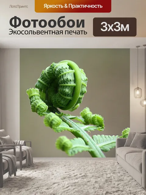 Фотообои Папоротник