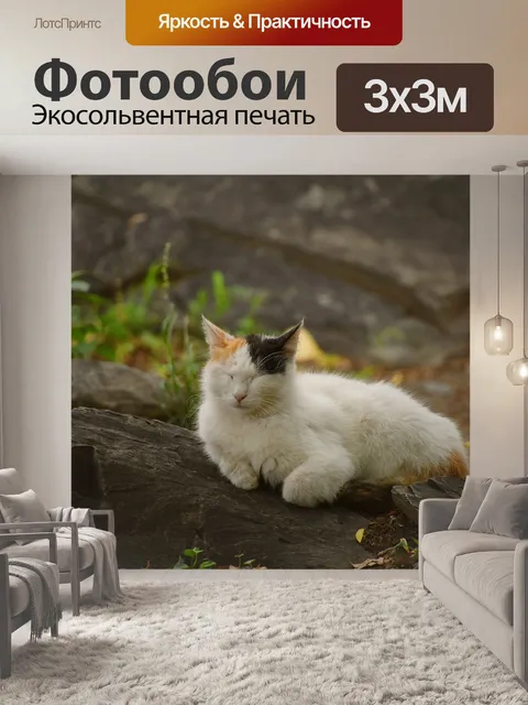 Фотообои Кошка