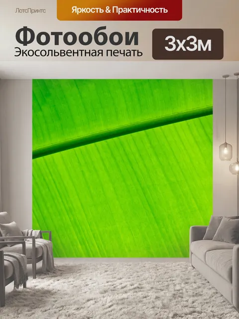 Фотообои Зеленый лист пальмы