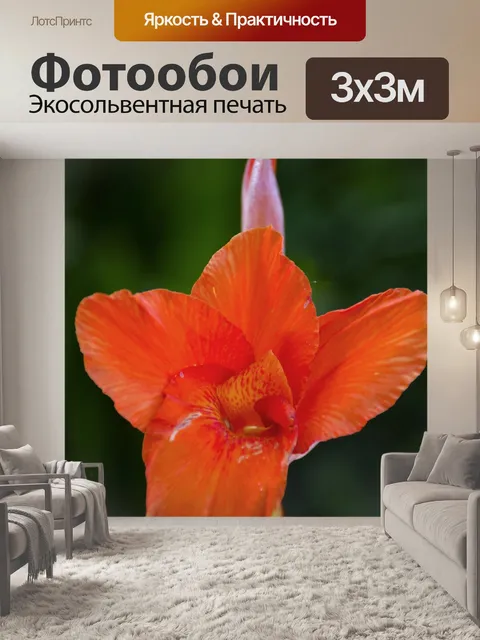 Фотообои Красный цветок
