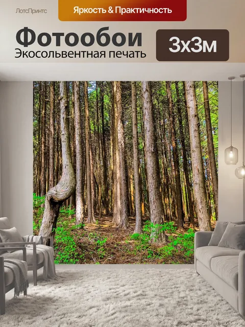 Фотообои Вудс