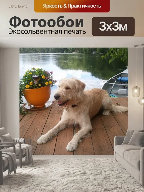 Фотообои Собака