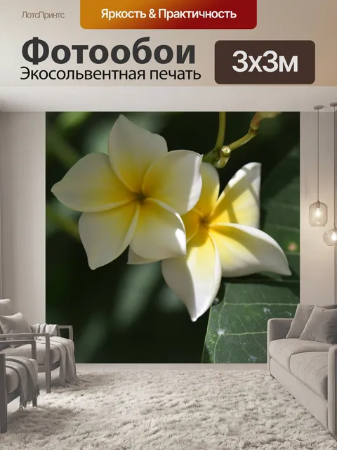 Фотообои Две плюмерии