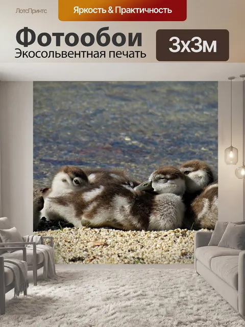Фотообои Египетские гуси