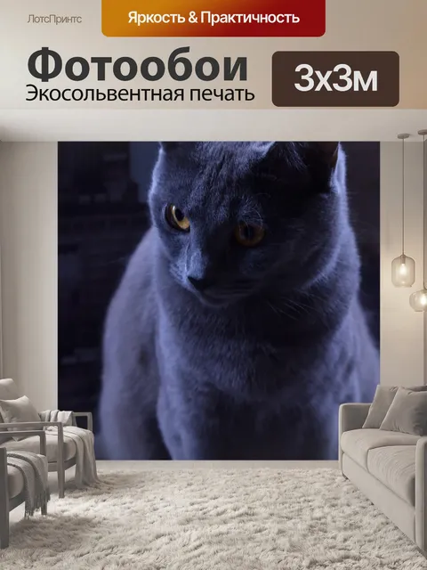 Фотообои Кошка
