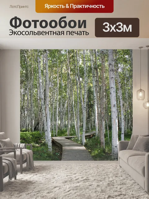 Фотообои Березы