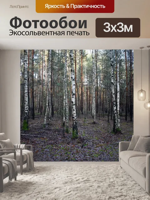 Фотообои Лес