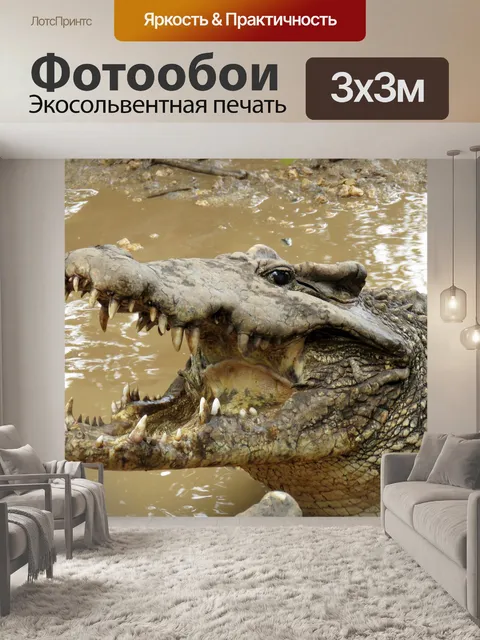 Фотообои Крокодил