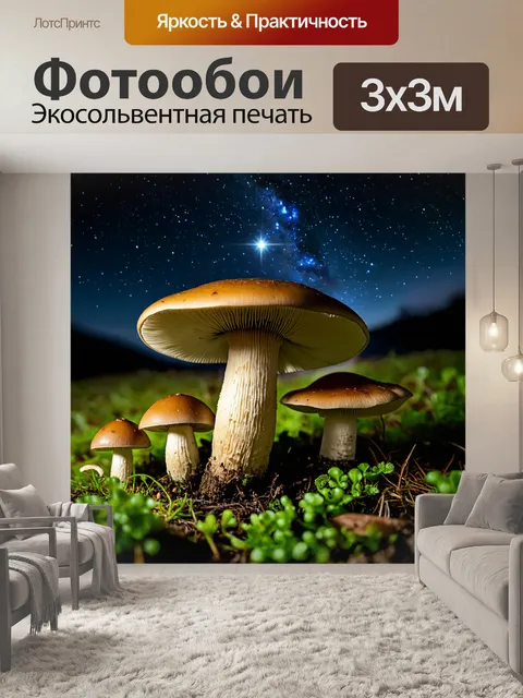 Фотообои грибы под светом звёзд в безмятежной ночи