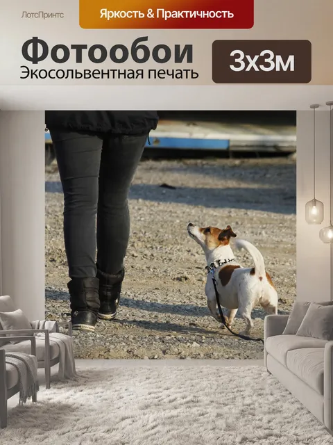 Фотообои Одной тренировки