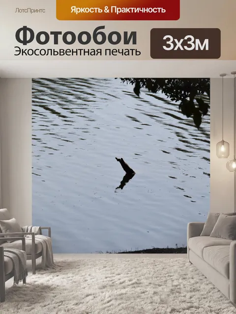 Фотообои Отделение в воде