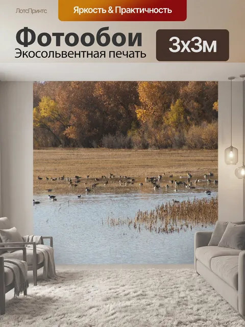 Фотообои Смешанная стая диких уток