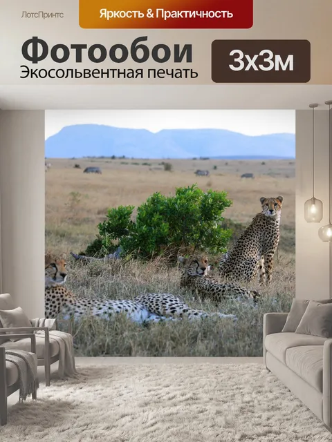 Фотообои Трио