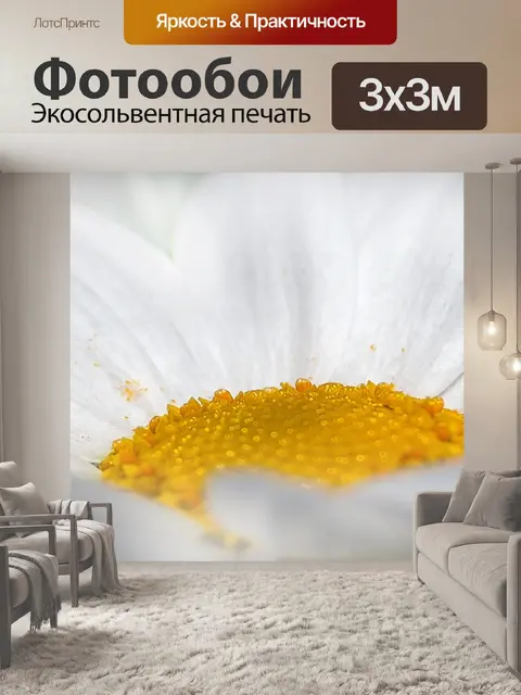 Фотообои Хризантемы