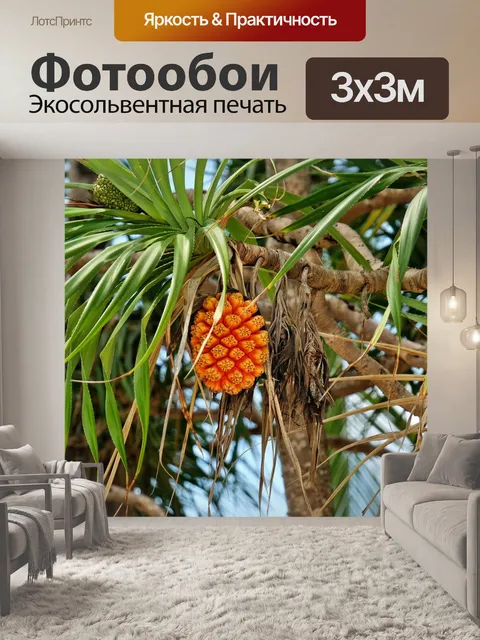 Фотообои Плод