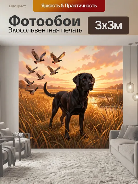 Фотообои Черный пес и утки на закате