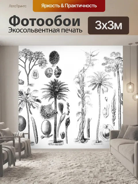 Фотообои Пальмы старинные иллюстрации