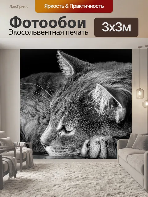 Фотообои Кошка