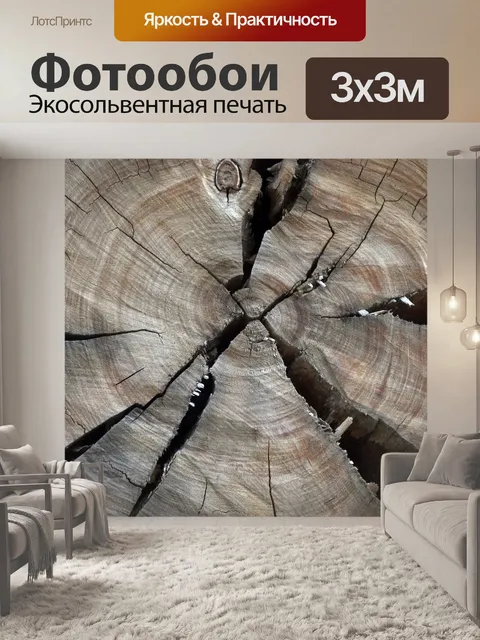 Фотообои Ломковый пень