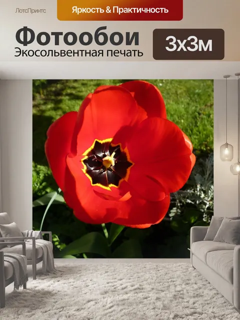 Фотообои Цветок