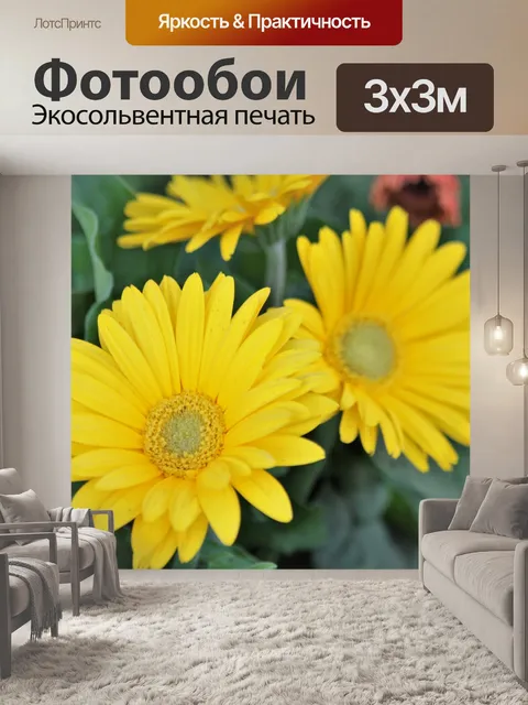 Фотообои Желтые герберы