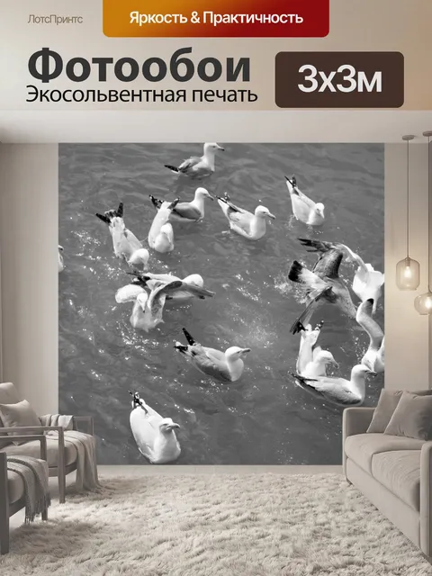 Фотообои Чайки в море